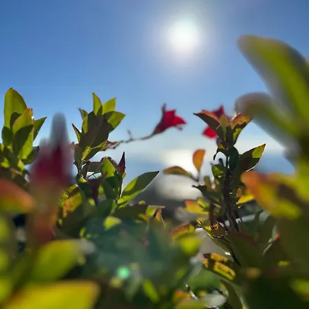 Penzion Re Vincy - *