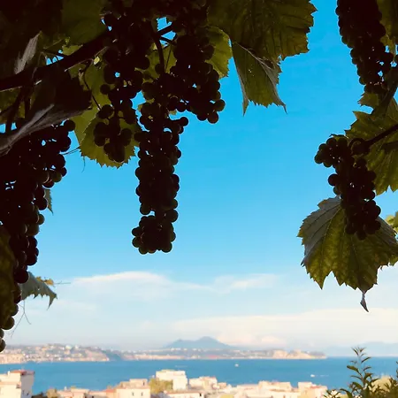Re Vincy - Πανσιόν Bacoli